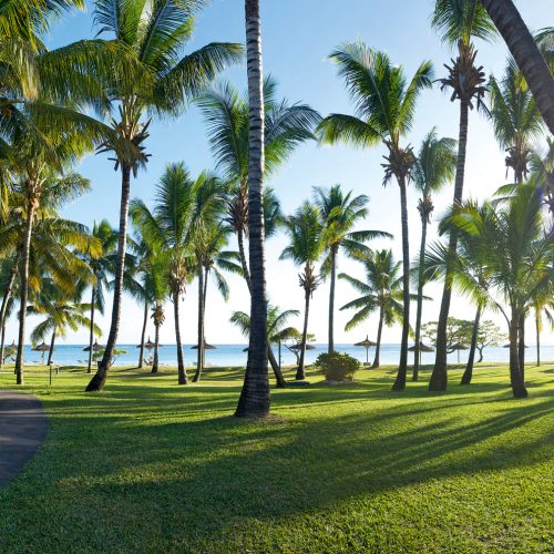 LaPirogue_Coconut-Grove