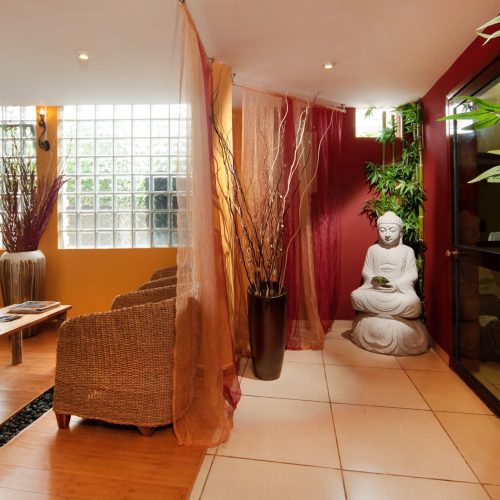 Le Palmiste-Lounge 2
