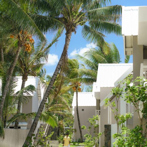 Tropical Attitude-exterior