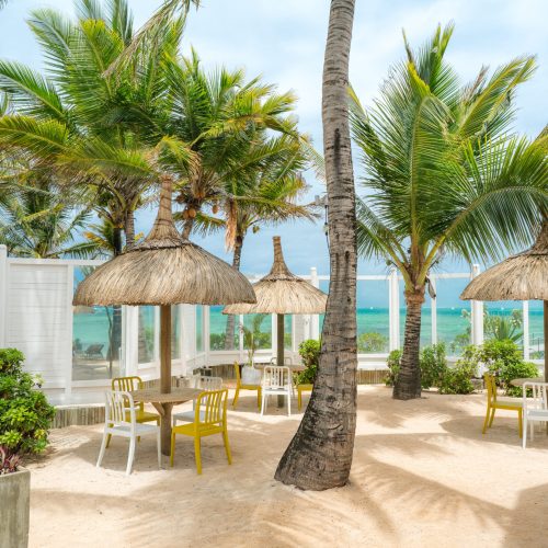 Tropical Attitude-LOUNGE