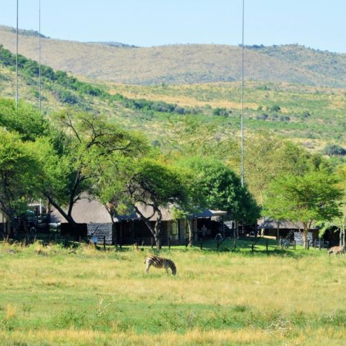 bakubung-bush-lodge5