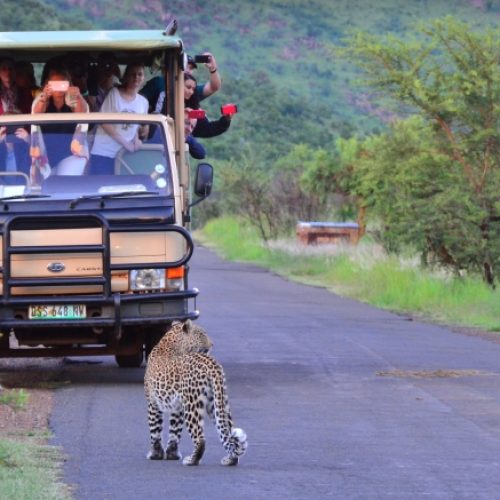 bakubung-bush-lodge8