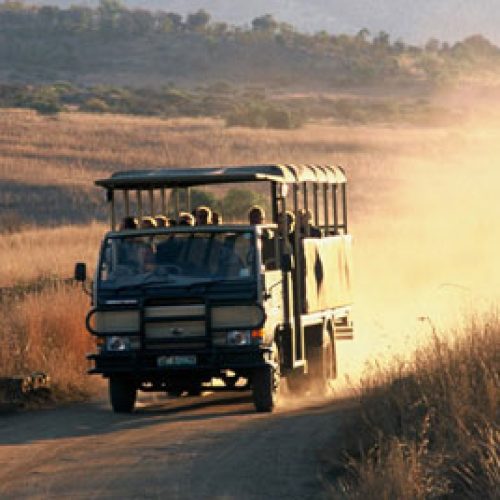 bakubung-bush-lodge9