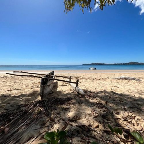 ecolodge_diana_5