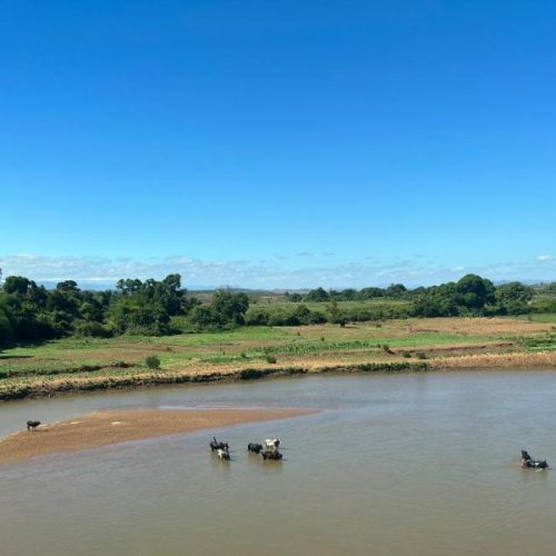 ecolodge_diana_7