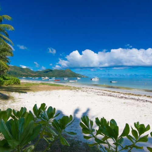 grand anse praslin1