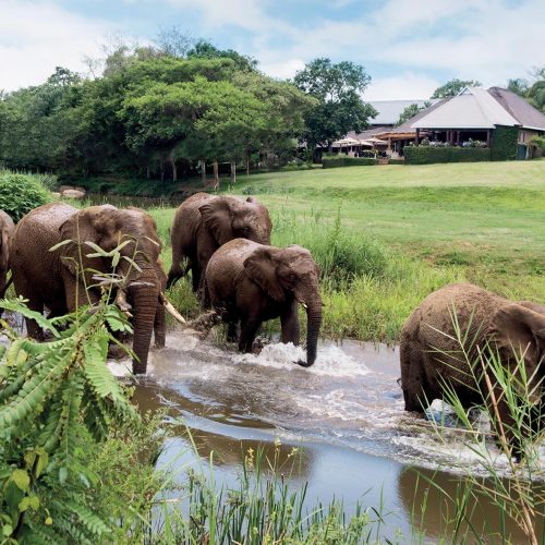 hippo-hollow-elephants-river-gallery-1389x1000